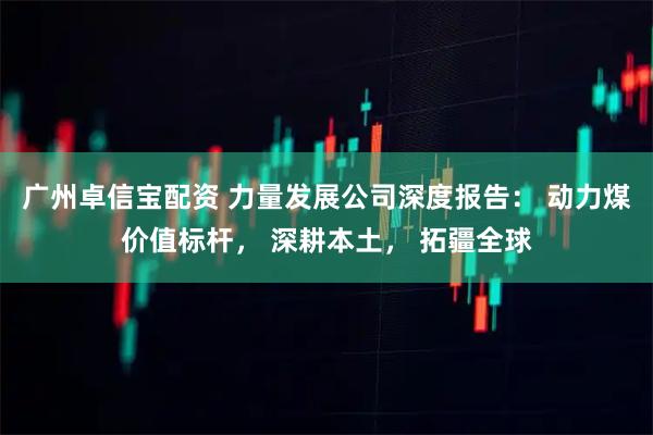 广州卓信宝配资 力量发展公司深度报告: 动力煤价值标杆, 深耕本土, 拓疆全球